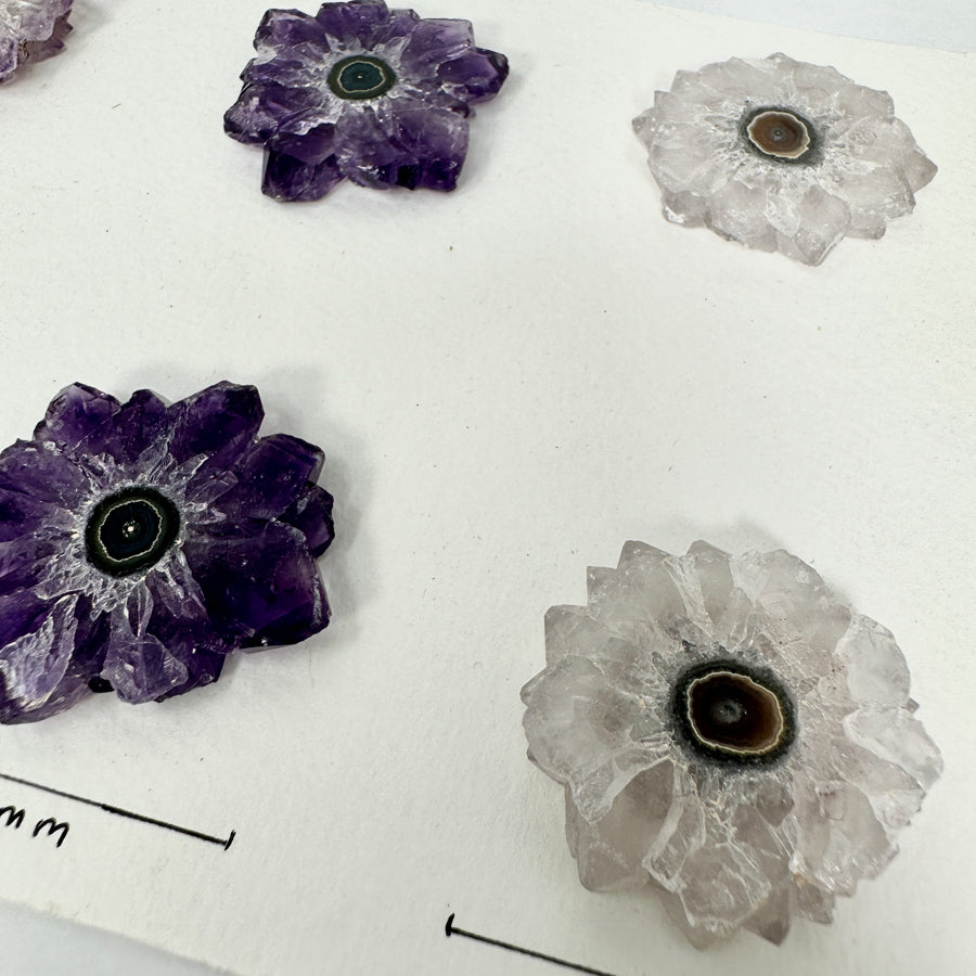 Genuine Amethyst &amp; Quartz Stalactite Slices Flat - Perfect for Crafting Unique Jewelry - STS0040