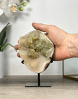 Natural Quartz Druzy With Calcite Specimen - MWS2519