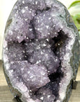 Natural Uruguayan Crystal Geode on Stand with Stalactite Formations - MWS3276