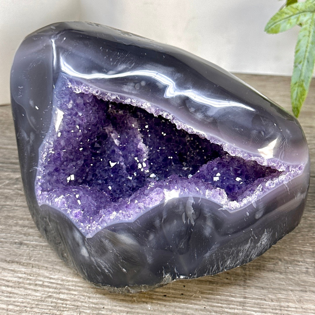 Natural Amethyst Geode with Agate Shell - STGE0098