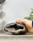 Blue Agate & Quartz Druzy Stone Geode - STGE0075