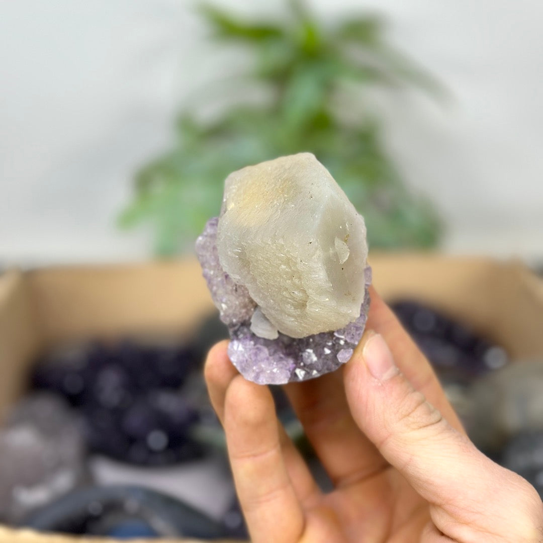 Mineral Specimens Lot - MSLT0217