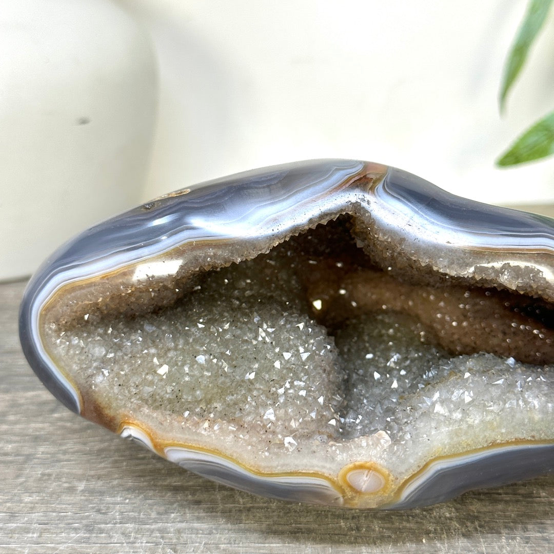 Blue Agate &amp; Quartz Druzy Stone Geode - STGE0075