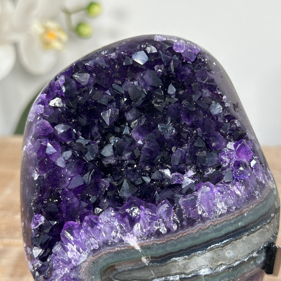 Beautiful Deep Purple Amethyst Crystal Cluster Formation - MWS1805