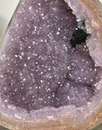 Uruguayan Amethyst Geode with Stunning Agate Shell - MWS3388