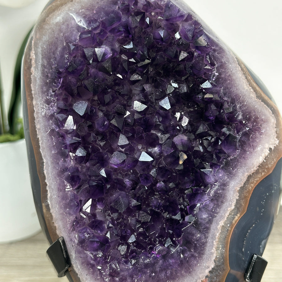 Amethyst Crystal Geode with Natural Agate Shell - MWS2796