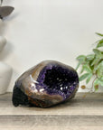 Top Quality Natural Amethyst Geode for Home Decor - STGE0068