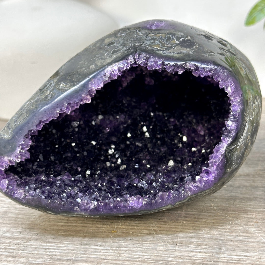 Uruguayan Amethyst Geode with Polished Shell - STGE0090