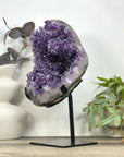 Huge Natural Uruguayan Amethyst Specimen on Stand for Home Decor - MWS3223