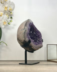 Natural Amethyst Geode with Stunning Agate Shell - MWS2970