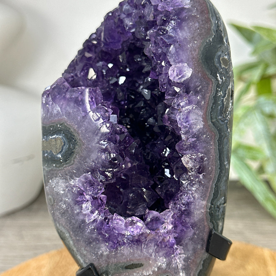 Natural Top Grade Amethyst Geode on Stand - MWS3258