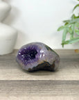 Polished Amethyst Geode from Uruguay - STGE0032