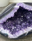Uruguayan Amethyst geode with agate Shell - STGE0044