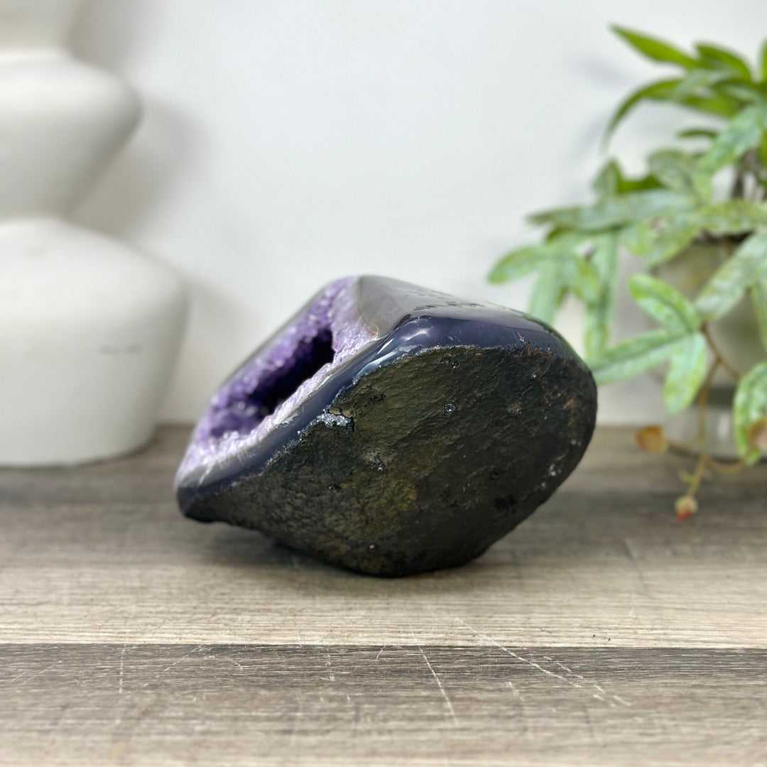Uruguayan Amethyst geode with agate Shell - STGE0044