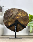 Top Grade Natural Amethyst Specimen on Metal Stand - MWS3359
