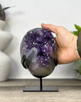 Top Quality Natural Amethyst Geode from Uruguay - MWS3329