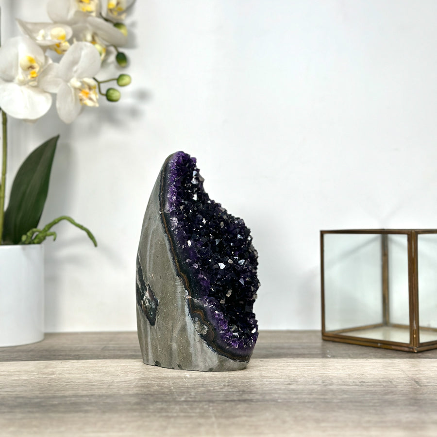 Amethyst Crystal Cluster Geode – Dark Purple for Collector Display - CBP1250