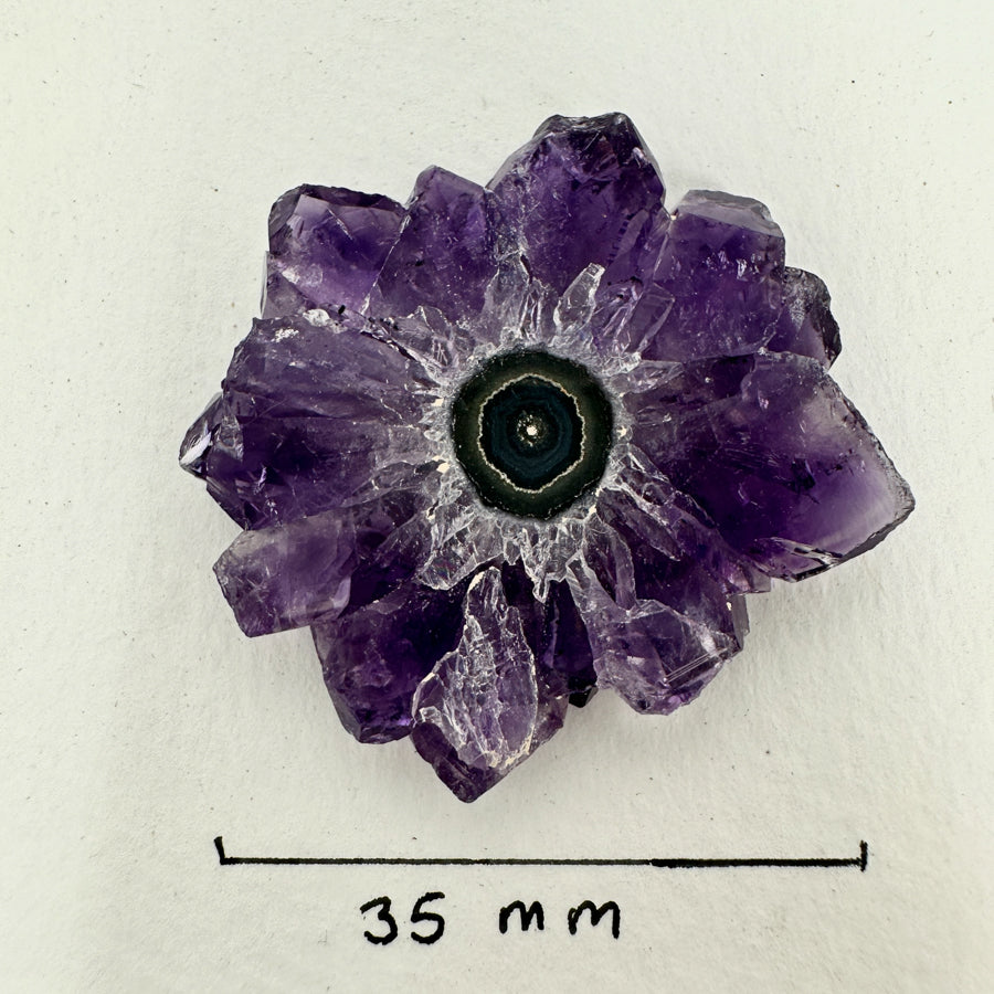 Genuine Amethyst &amp; Quartz Stalactite Slices Flat - Perfect for Crafting Unique Jewelry - STS0040