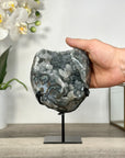 Gray Quartz Crystal Geode Specimen - MWS2689