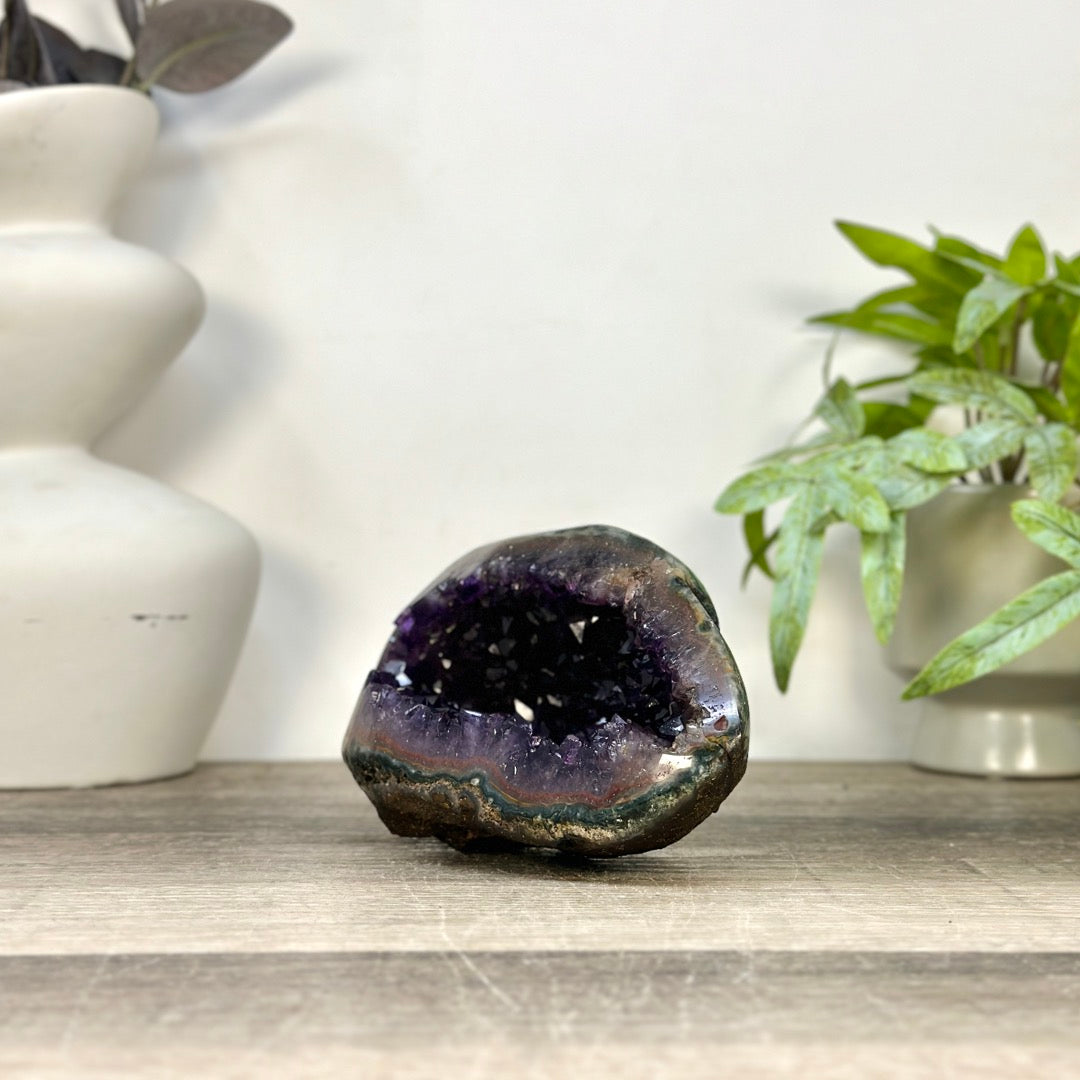 Amethyst Geode with Deep purple Crystals &amp; Polished Shell - STGE0119