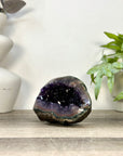 Amethyst Geode with Deep purple Crystals & Polished Shell - STGE0119