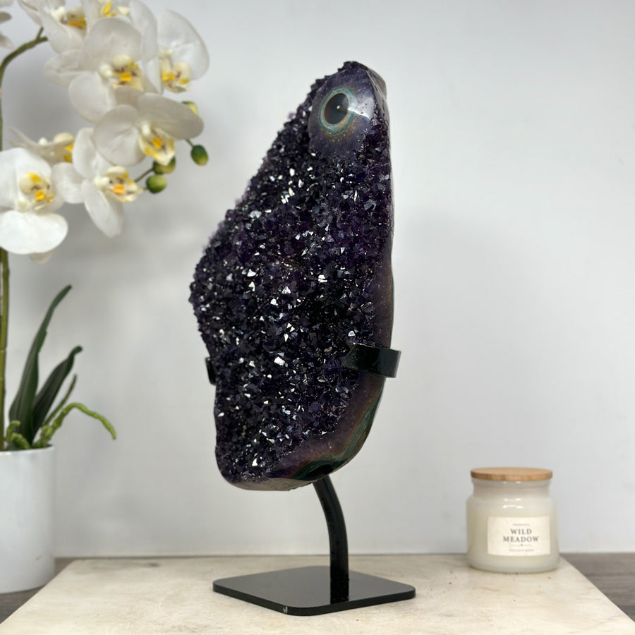 AAA Unique Large Amethyst Cluster Specimen - MWS1456