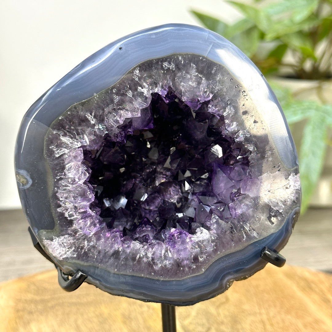 Uruguayan Amethyst Geode with Blue Banded Shell - Stand Included - MWS3260