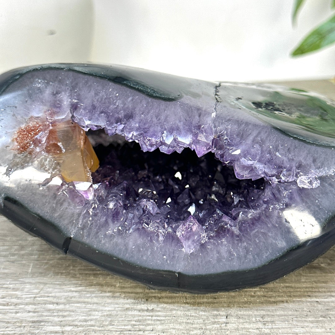 Natural amethyst &amp; Agate Stone Geode with polished Shell - STGE0081