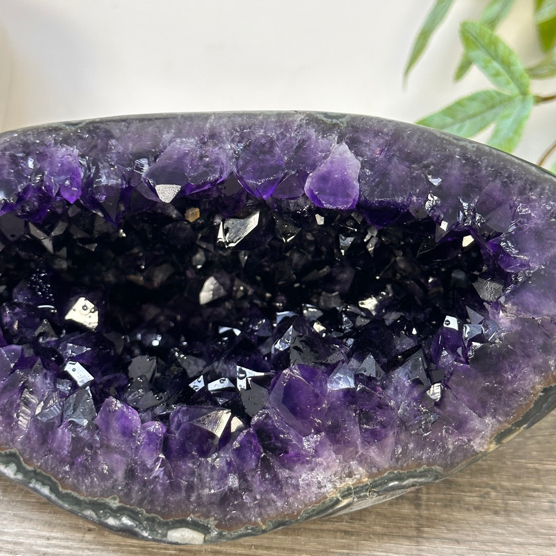 A+ GRade Amethyst Geode from Uruguay - STGE0069