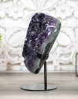 Top Grade Amethyst Crystal Cluster with Stunning Jaspes Shell - MWS0420