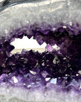 Xl Natural Amethyst Geode with Agate Shell - STGE0072