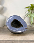 Blue Banded Agatae Stone Geode - STGE0097