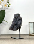 Natural Quartz Stalactite Formation on Stand - MWS2881