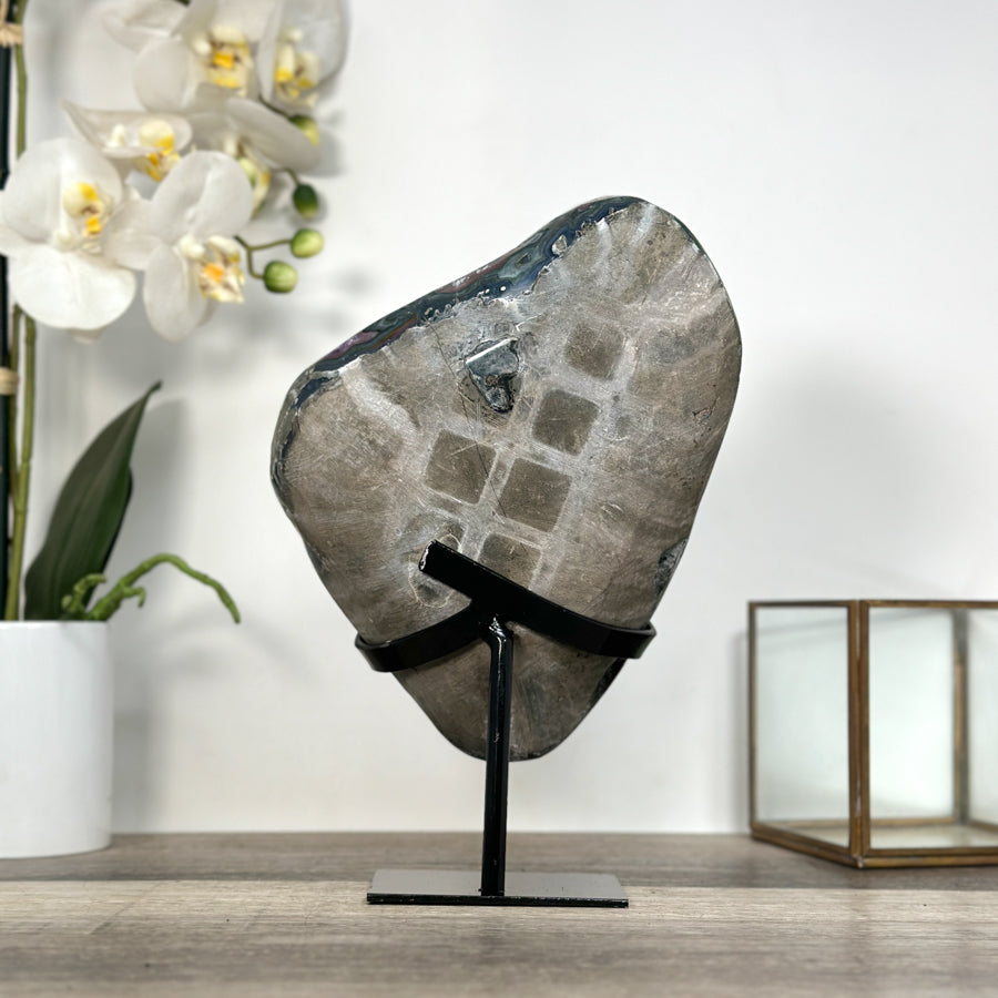 Amethyst Crystal Cluster on Stand - Violet Geode for Home Decor Display - MWS2646