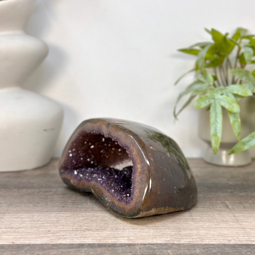 Amethyst Geode with Polished Shell - STGE0099