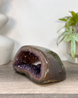 Amethyst Geode with Polished Shell - STGE0099