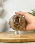 Natural Citrine Sphere Geode with Crystal Formation - SPH0231