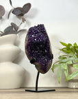 A Grade Uruguayan Amethyst Cluster with Stalactite Eyes - MWS3168