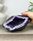 Uruguayan Amethyst geode with agate Shell - STGE0044