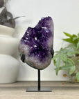 Uruguayan Amethyst Cluster with Large & Shinny Crystals - MWS3314