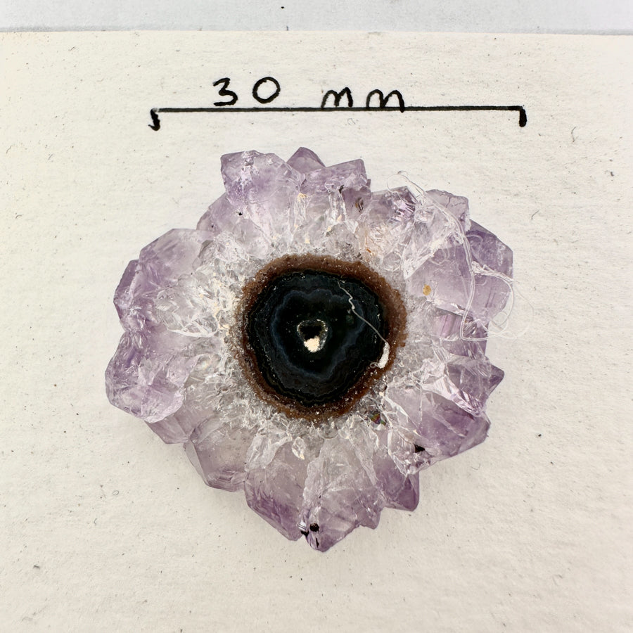 Genuine Amethyst &amp; Agate Stalactite Slices Flat - Perfect for Crafting Unique Jewelry - STS0062