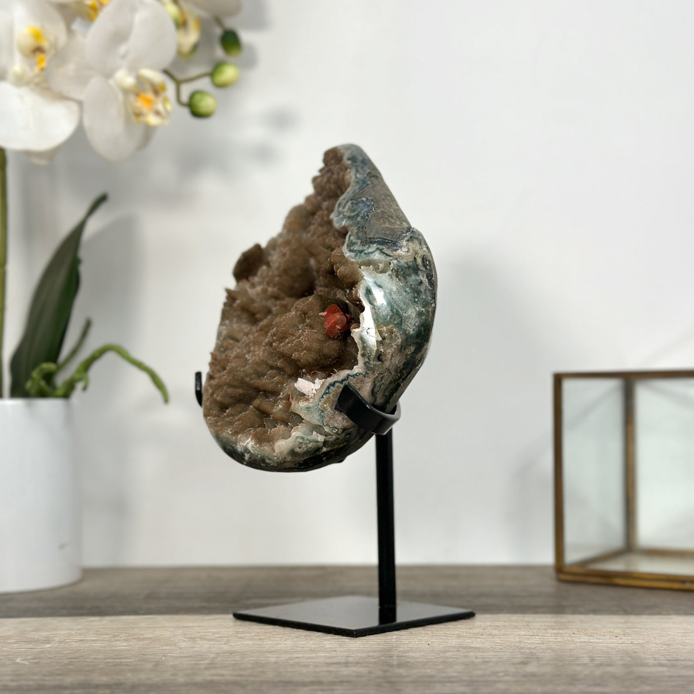 Natural Geode Mineral Specimen with Druzy Crystal Formations - MWS2678