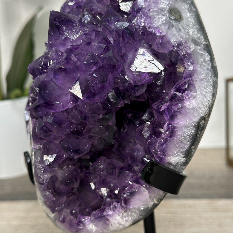 Amethyst Crystal Cluster Geode with Quartz Shell - MWS2636