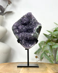 Natural Amethyst with Stalactite Formation & Green Jasper Shell on Stand - MWS3256