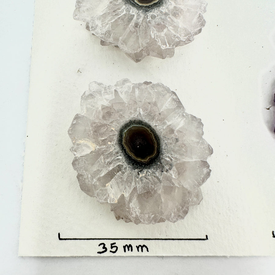 Wholesale Amethyst &amp; Quartz Stalactite Slices for Jewelry Making - Bulk Flat Set - STS0022
