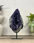 Top Quality Natural Amethyst Geode with Green Japer Shell - MWS3348