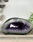 Xl Natural Amethyst Geode with Agate Shell - STGE0072