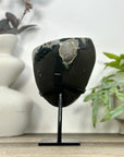 Natural Uruguayan Amethyst Crystal on Stand - MWS3207