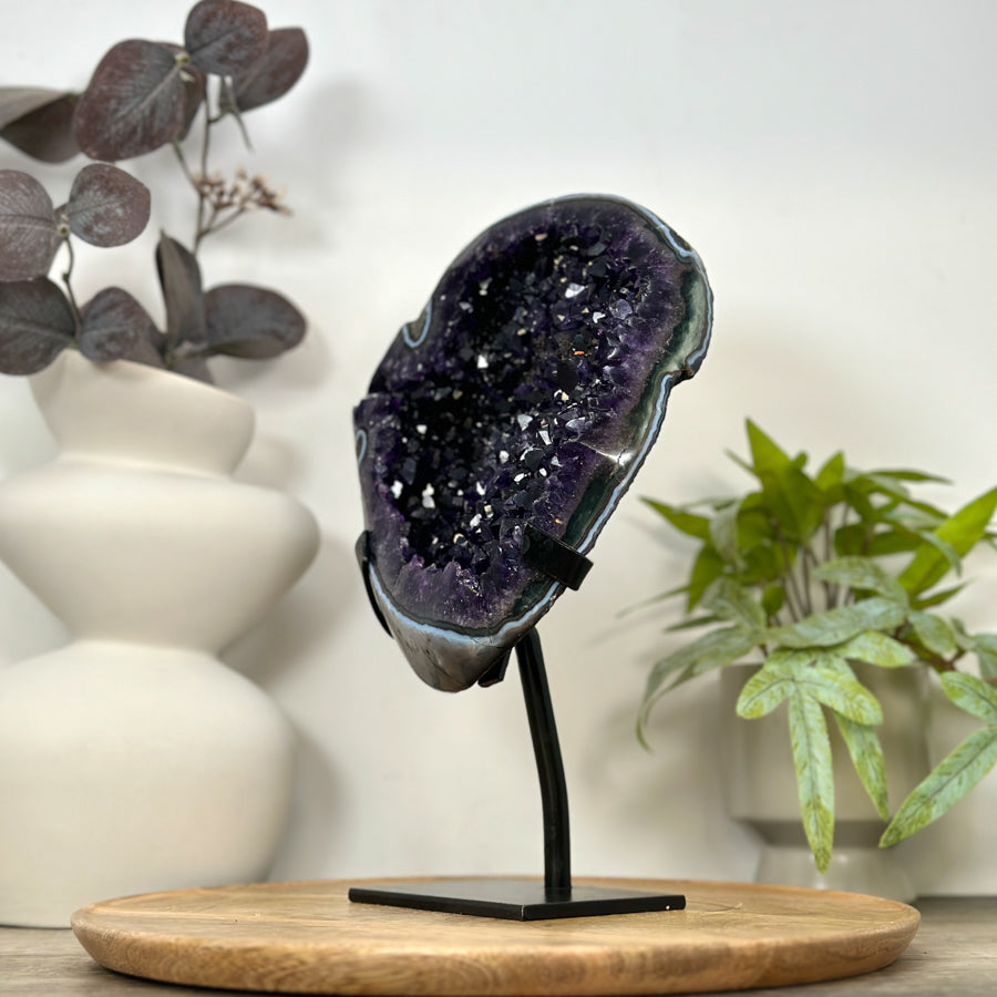 Natural Top Quality Amethyst Geode with Blue Abate Shell - MWS3073