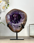 Natural Amethyst Geode with Agate Shell - MWS2431